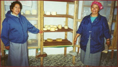 Mexican sisters at the cheese factory